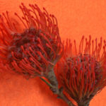 自殺の先には終わりのない孤独が待っているって…