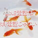 LINE電話の取扱に注意です！無料電話と思っていませんか？