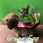 ポートフォリオサイト公開しました！